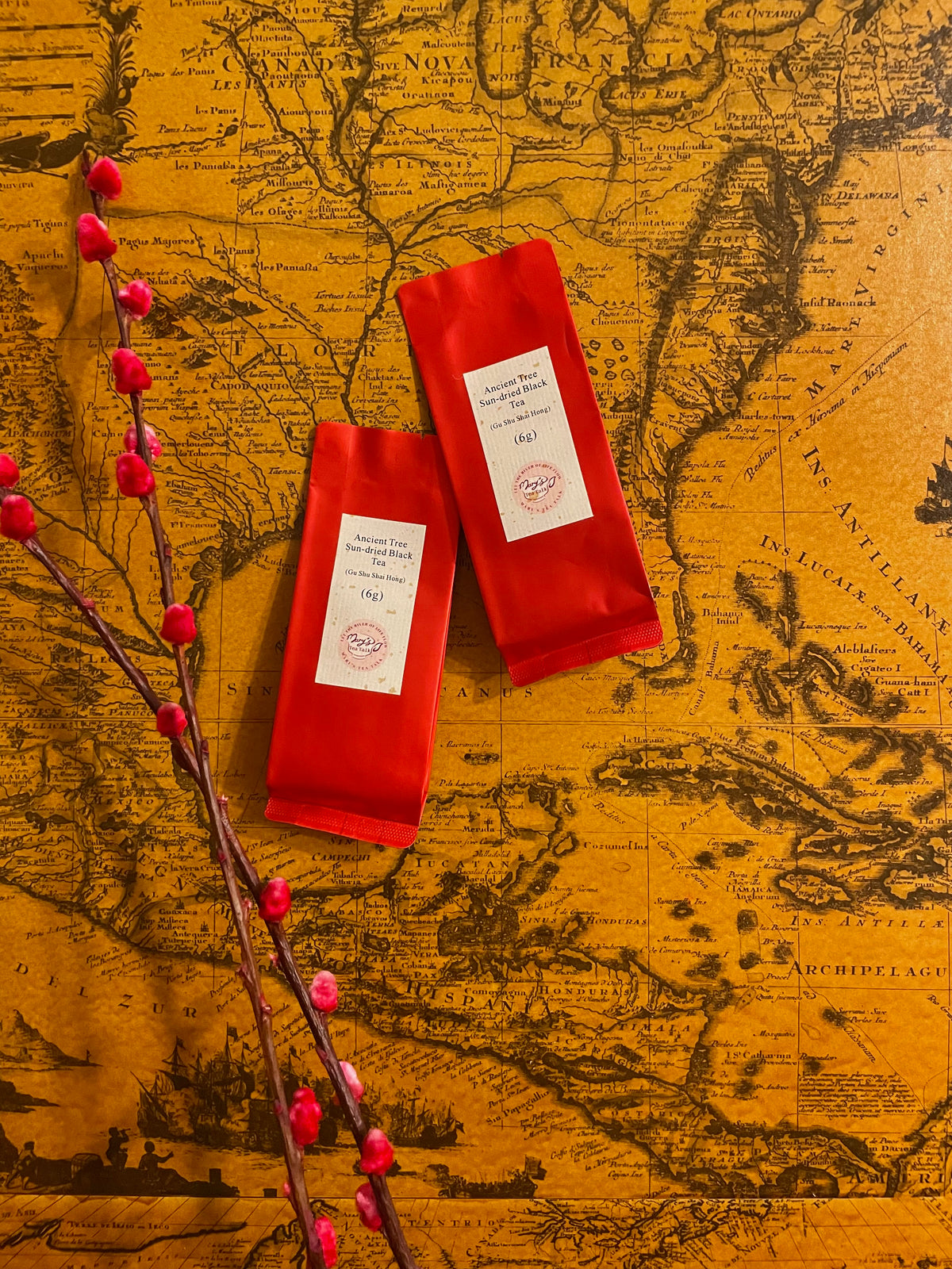 Two red sample tea bags with white labels resting on an antique-style gold map, decorated with a red berry branch.